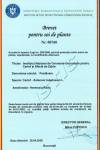 Postavaru brevet