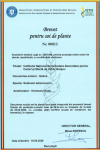2026 Brevet Getica 2026 Brevet Getica